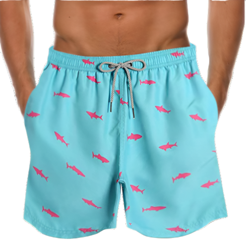 James | Men's Lightweight Swim Shorts