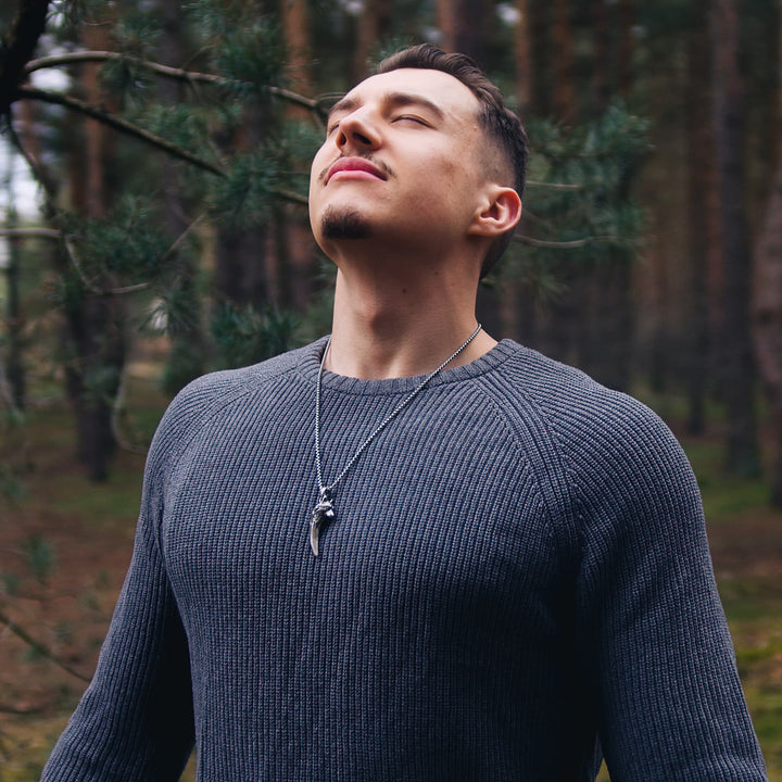 Men's Stylish Wolf Pendant Necklace