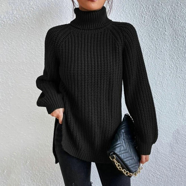 Women's Modern Loose Fit Roll Neck Sweater