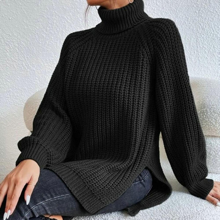 Women's Modern Loose Fit Roll Neck Sweater