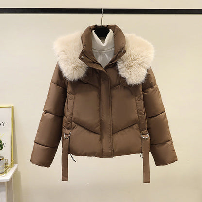 Women's Short Padded Jacket with Faux Fur Collar and Waist Belt