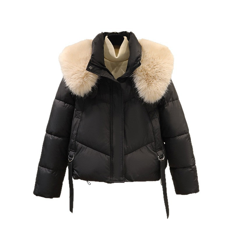 Women's Short Padded Jacket with Faux Fur Collar and Waist Belt