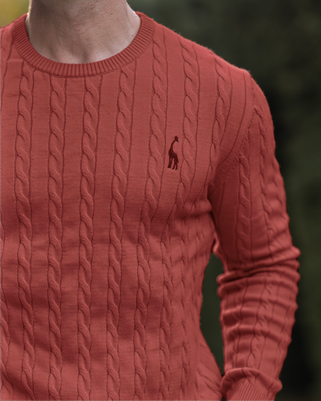 Men's Cable Knit Cotton Pullover Sweater