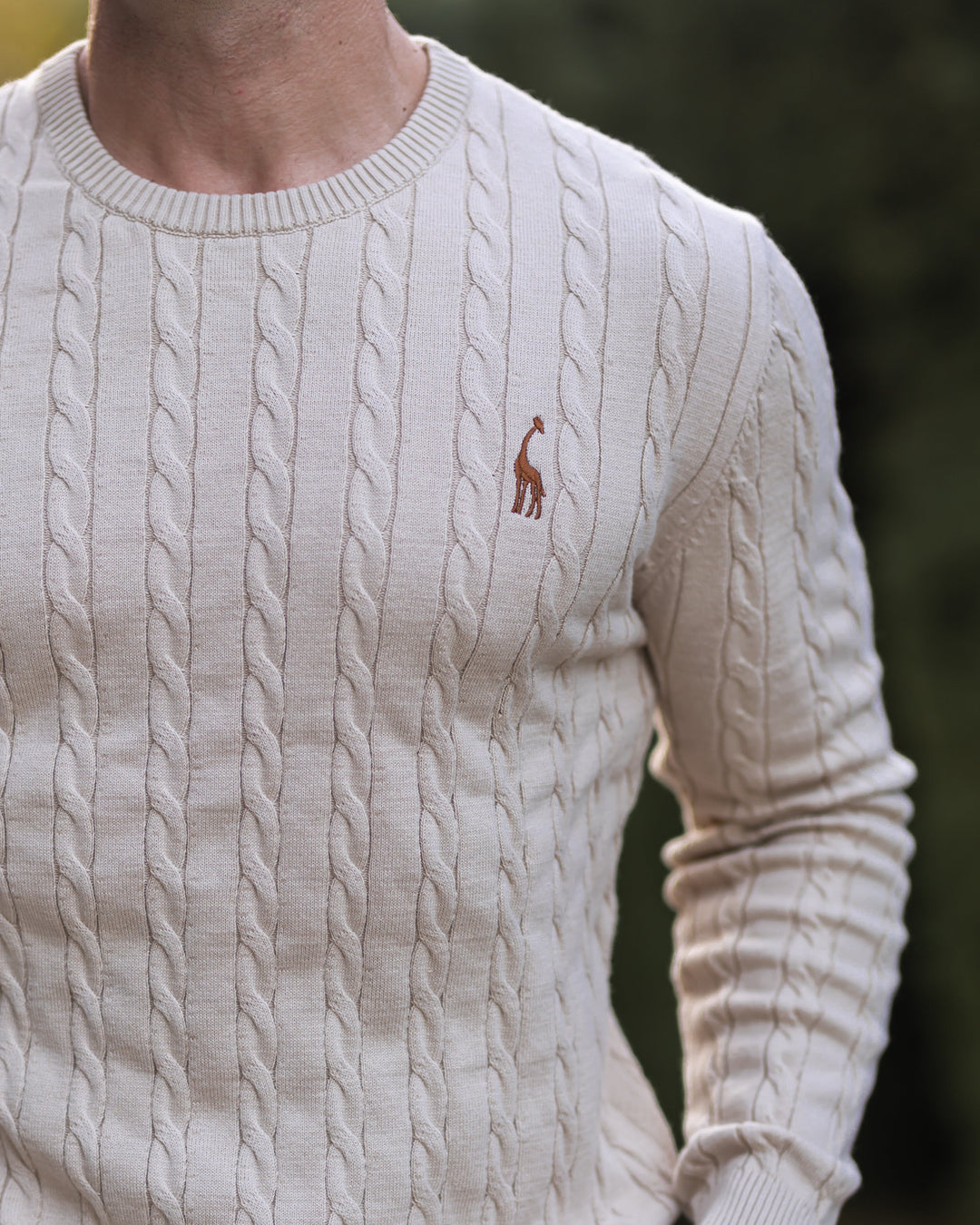 Men's Cable Knit Cotton Pullover Sweater