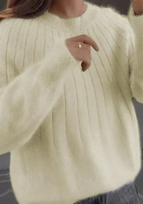 Women's Fluffy Textured Sweater with Round Neck