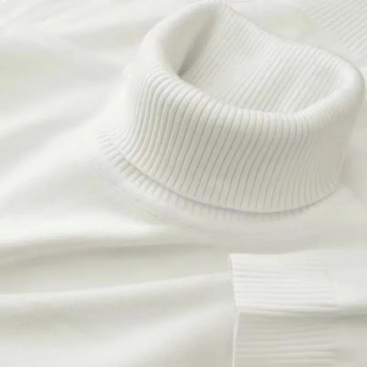 Men's Knitted Turtleneck Sweater | Classic Regular Fit