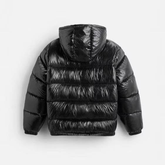 Men's Glossy Hooded Puffer Jacket
