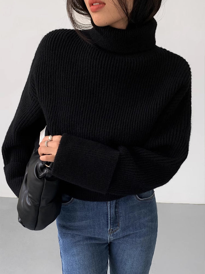 Women's Ribbed Turtleneck Warm Sweater